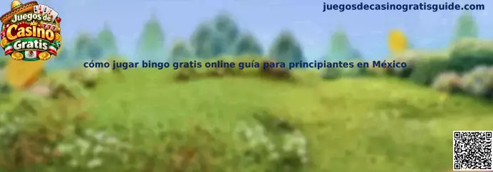 Guía para principiantes sobre cómo jugar bingo gratis online en México, reconocer cartones y aprender las reglas